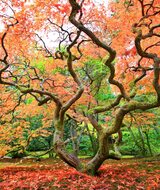 Book an Appointment with Eric Wu at Menlo Park