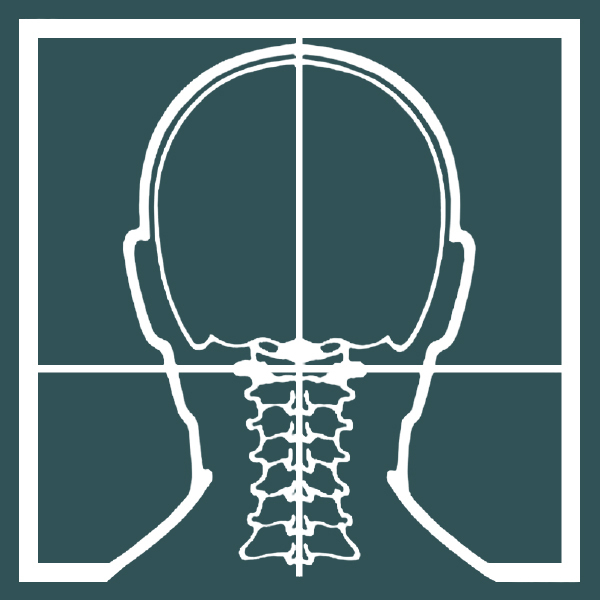 Olympic Family Chiropractic