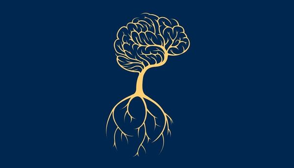 Embedded Roots Wellness Studio