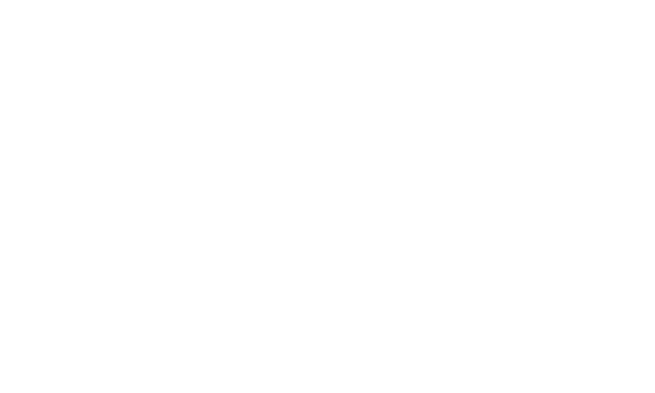 morgan petro physical therapy