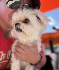 Book an Appointment with Amanda hanson for Massage Therapy