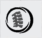 Silver View Chiropractic Center, P.A.