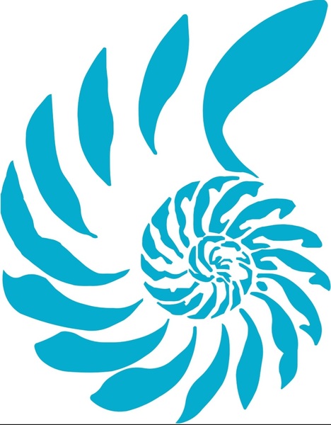 Core Chiropractic 