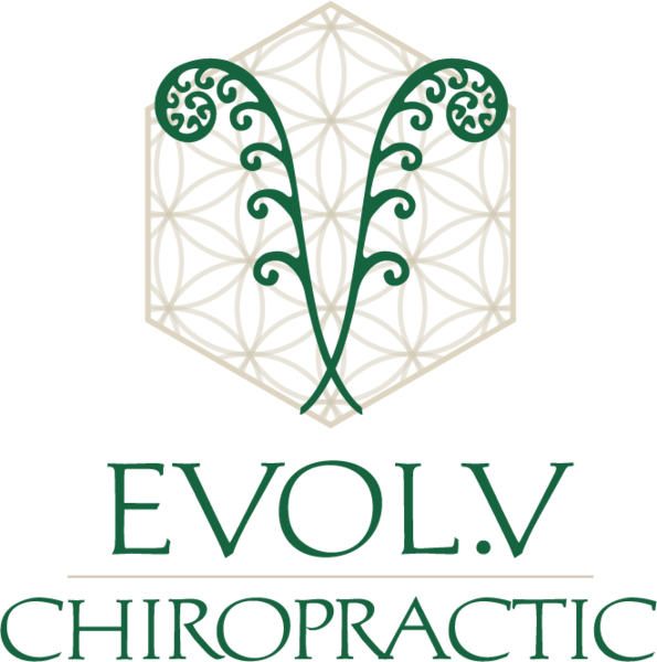 Evol.v Chiropractic
