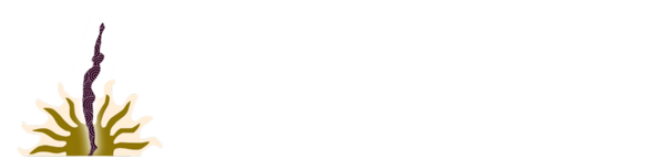 Balance Point Chiropractic