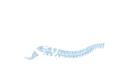 Reform Chiropractic & Joint Health